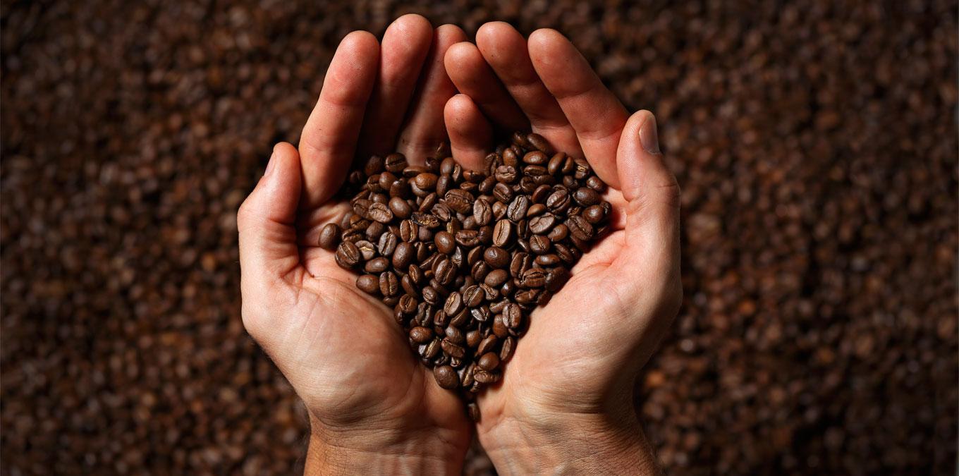 kaffebönor och händer